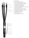 Муфта 3 КВТп-10  (70-120) с наконечниками (комбинированный комплект заземления) ЗЭТАРУС-Муфты кабельные концевые - купить по низкой цене в интернет-магазине, характеристики, отзывы | АВС-электро