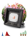 Прожектор Fito (LED) 50Вт 75 мкмоль/с 440:660нм 1370К цветение плоды IP65 ЭРА-Прожекторы - купить по низкой цене в интернет-магазине, характеристики, отзывы | АВС-электро