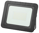 Прожектор (LED) 100Вт 9500лм 6500К IP65 черн. ЭРА-Прожекторы - купить по низкой цене в интернет-магазине, характеристики, отзывы | АВС-электро